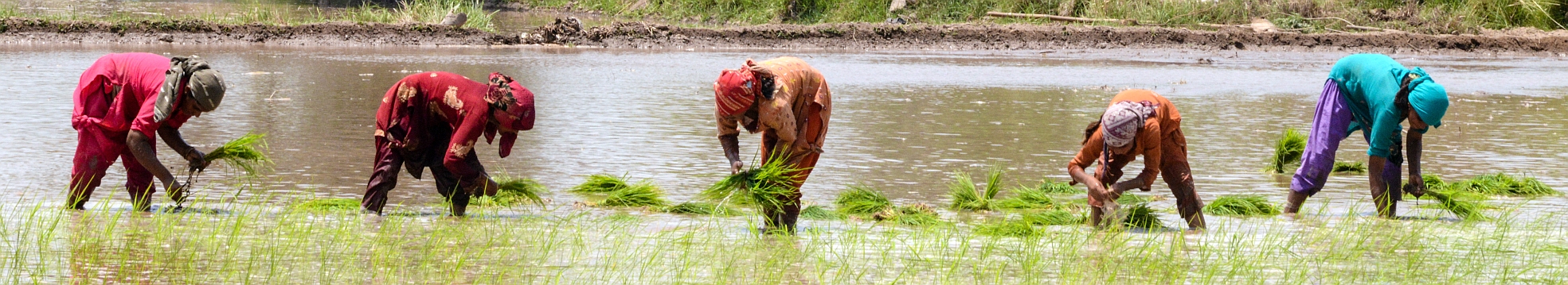 essay on rainfed farming