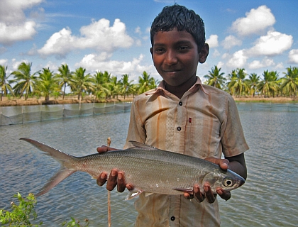 Fishing for pro-poor solutions in India :: IWMI