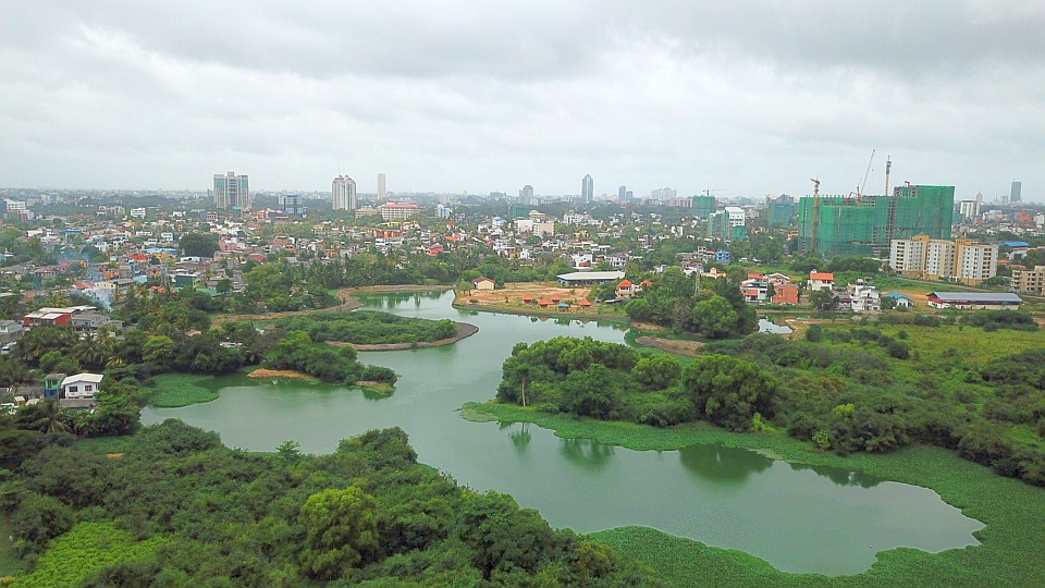 Colombo Wetlands