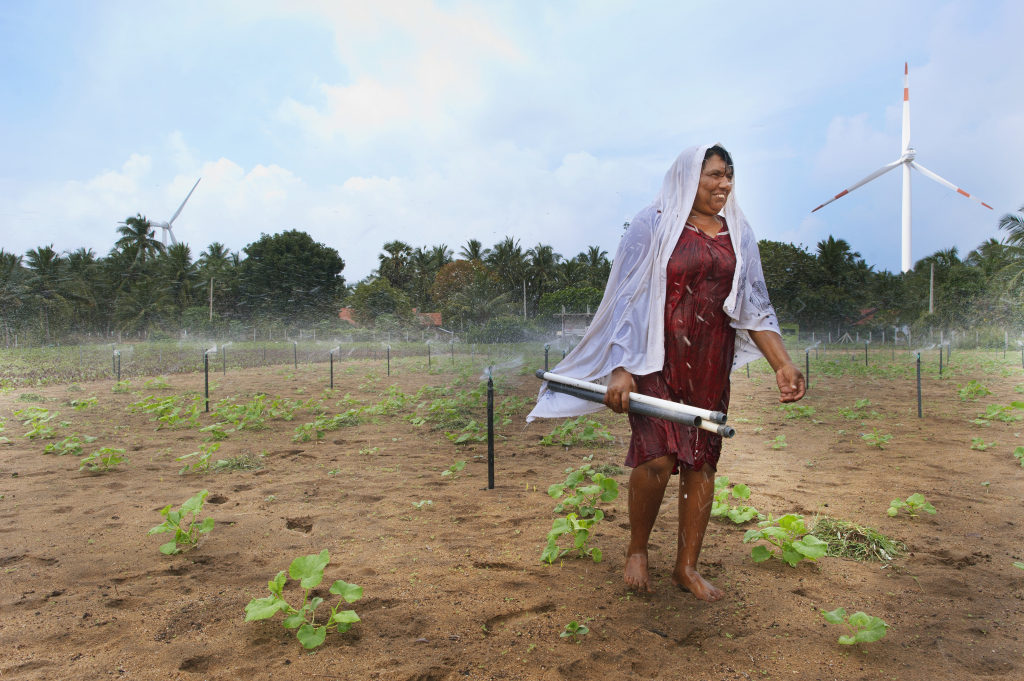 Farmer Sumithra Damayanthi managing a sprinkler irrigation system at Navatkadu village in Sri Lanka’s Kalpitiya peninsula. Photo: Hamish John Appleby / IWMI