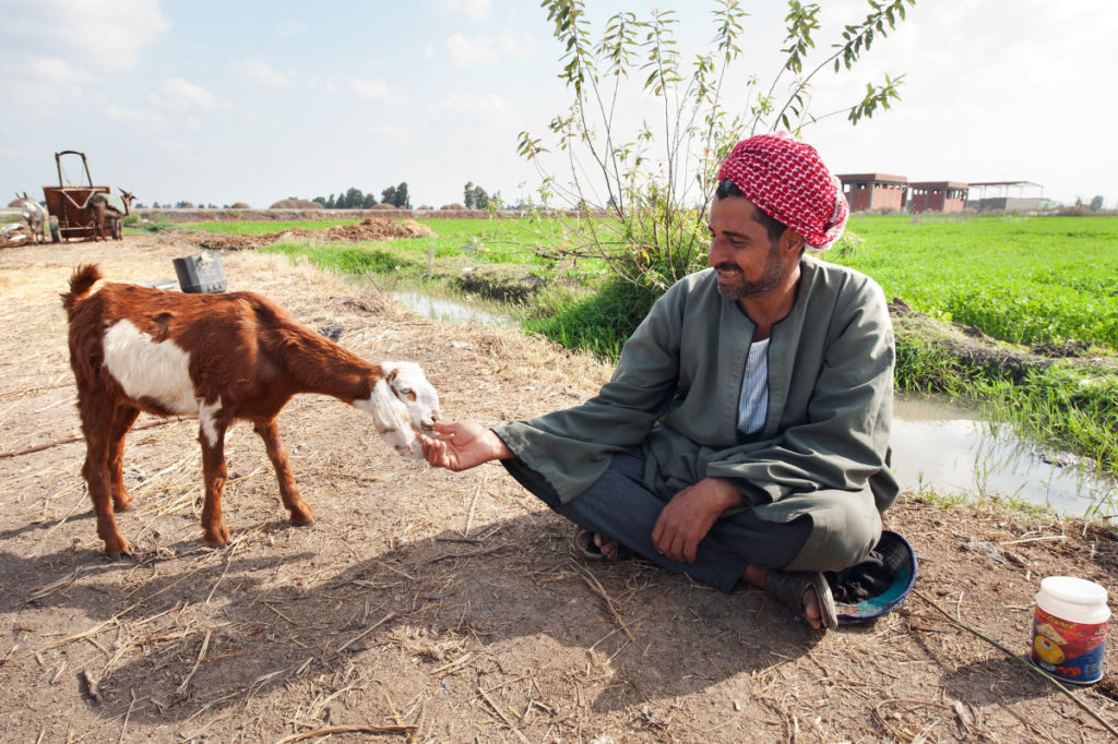 Photo: Hamish John Appleby / IWMI