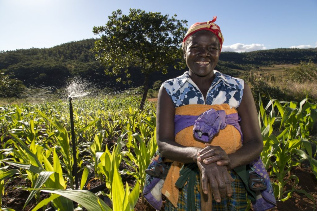 Sprinkler system used in Eastern Highlands on the Mozambique border to irrigate farms. Photo: David Brazier / IWMI