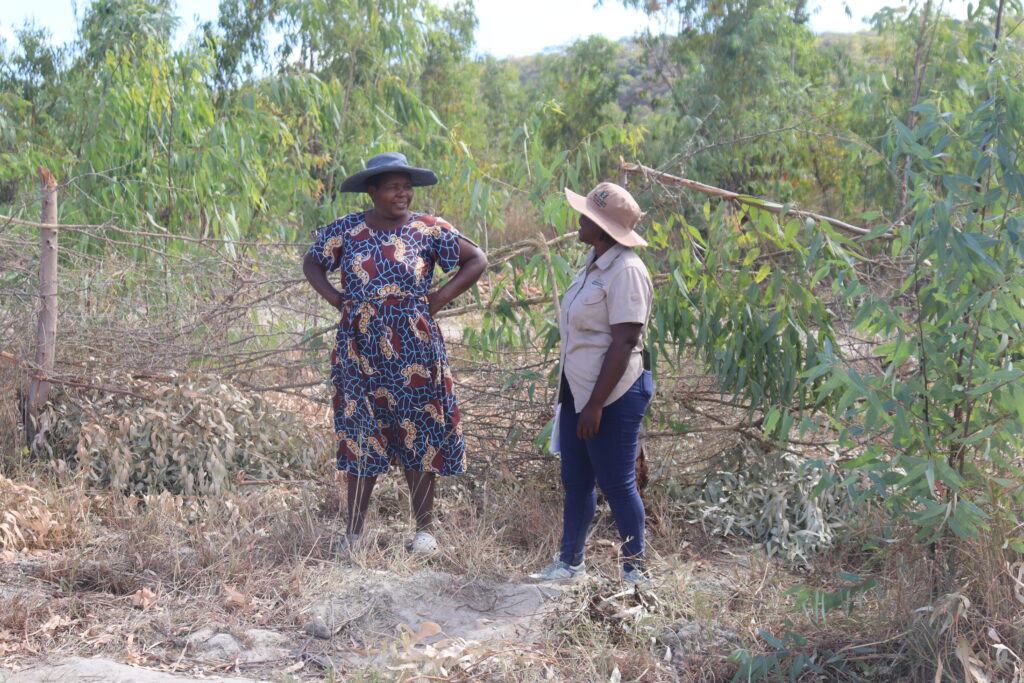 A woman farmer in Makonde speaking to an extension officer. Photo: Dennis Choruma / IWMI 