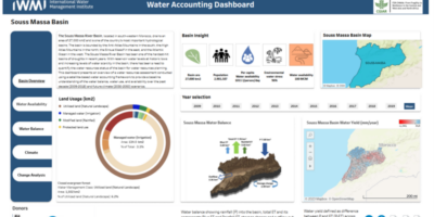 The Souss Massa Online Water Accounting Dashboard. Image: IWMI