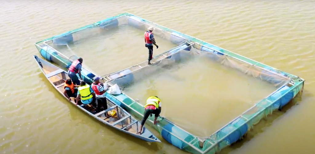 An aquaculture pilot site in Ghana. Photo: IWMI