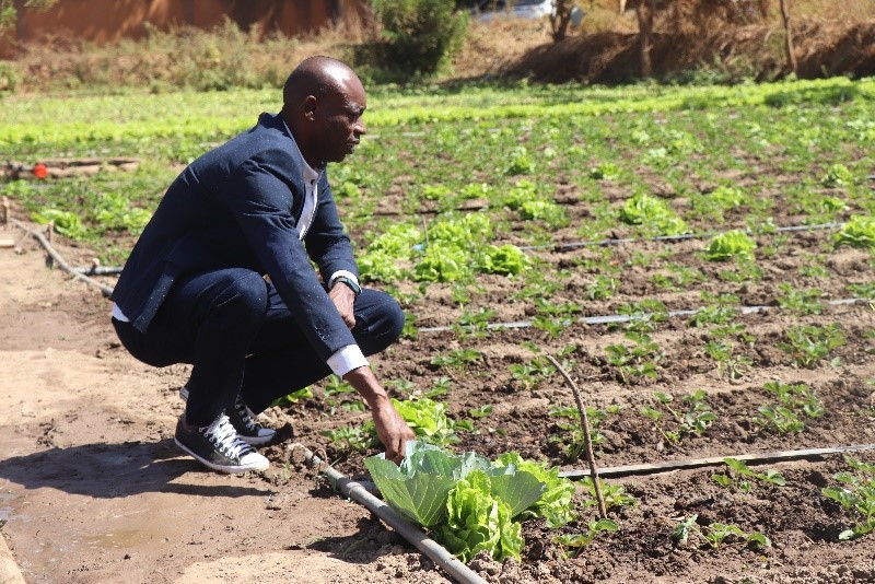 A farmer in West Africa using a drip irrigation system. Photo: GIZ