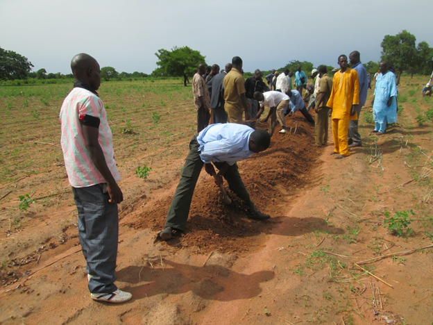 Farmers constructing a contour ridge to help water management at farm level in southern Mali. Photo: Birhanu Zemadim / IWMI