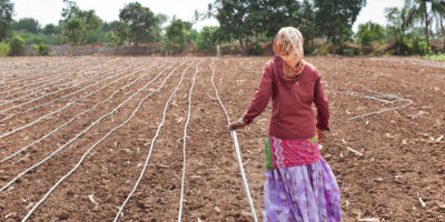 A woman helps to install drip irrigation pipes on a farm in India. Photo: Hamish John Appleby / IWMI