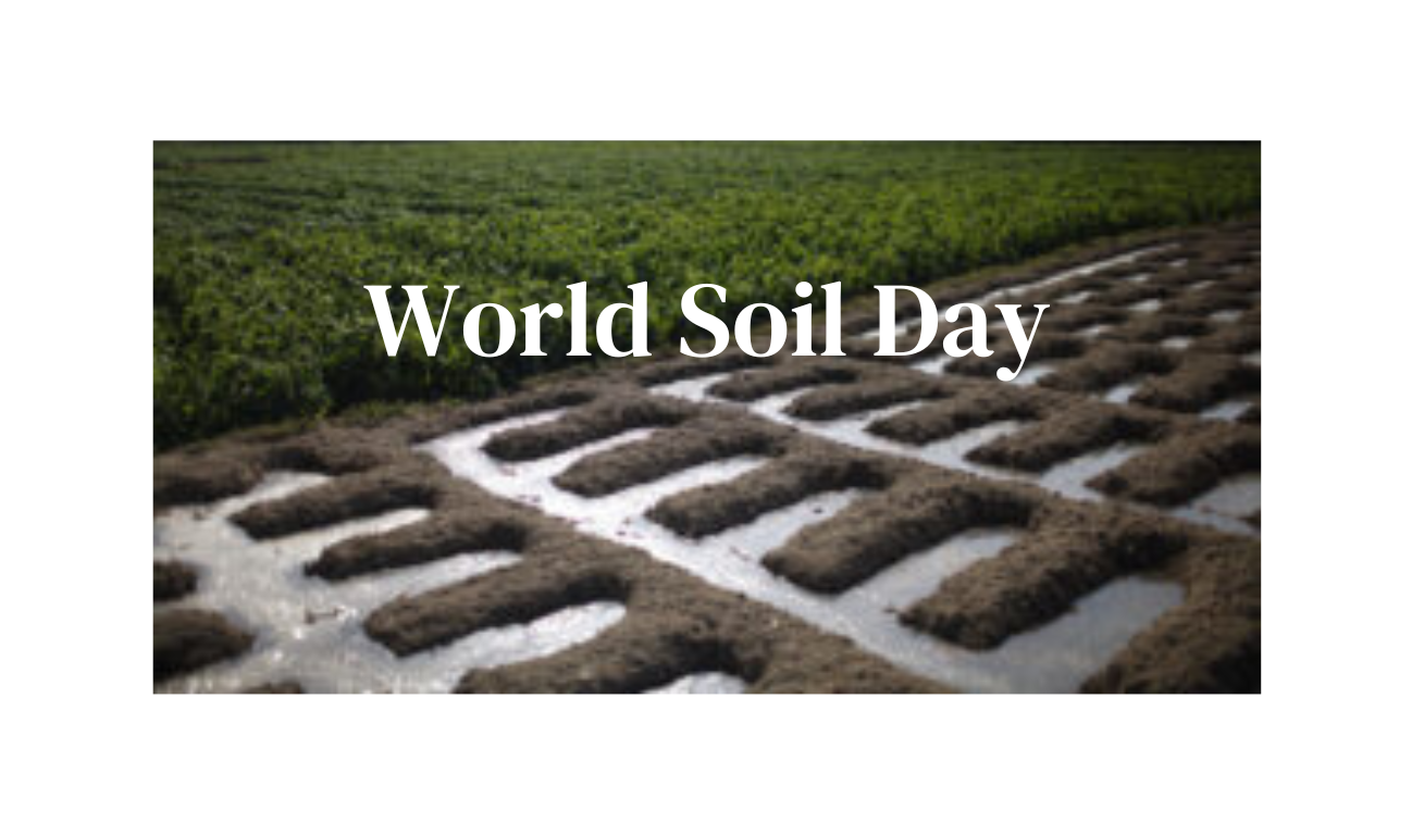 World Soil Day 2024