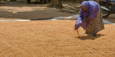 Farmer drying maize in the village of Galenbindunuwewa in the North Central Province of Sri Lanka. Photo: Samurdhi Ranasinghe / IWMI